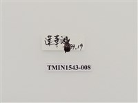 藏品(三錐象鼻蟲科)的圖片